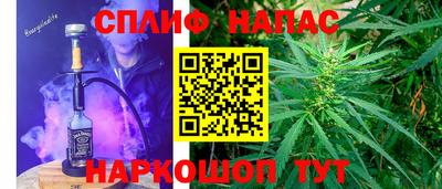 прущие грибы Азнакаево