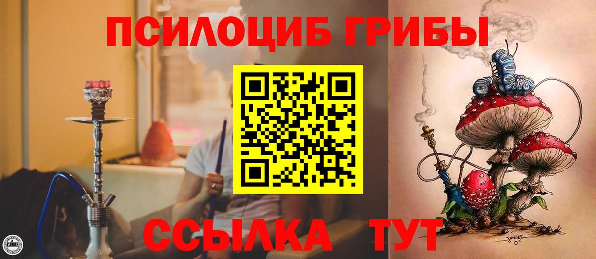 Алатырь  как найти закладки  Вход с VPN  Галлюциногенные грибы GOLDEN TEACHER  Галлюциногенные грибы ЛСД 