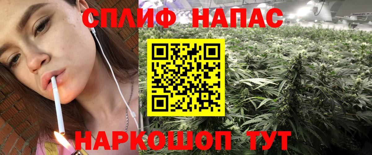 Бошки марихуана VHQ Алатырь